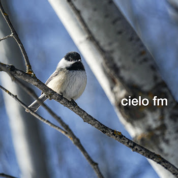 main img