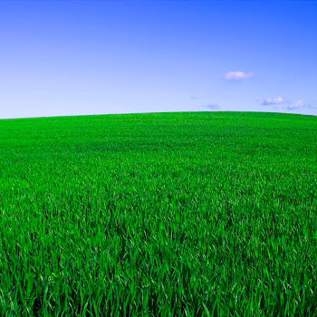 load img