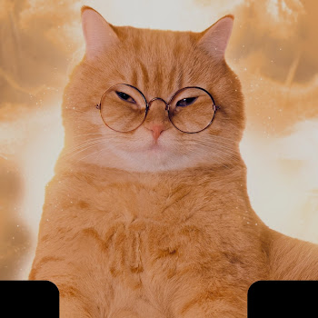 load img