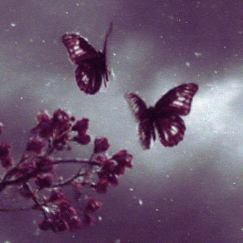load img